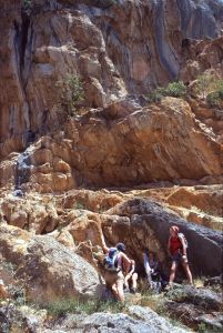 Kurs wspinaczki na sztucznej ścianie, wspinaczka, wspinanie, kurs skałkowy, kurs taternicki